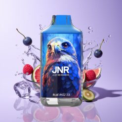 Hungary Wholesalers JNR Falcon 16000 Puffs Kék Málna Jég 850mAh 22ml Dual Mesh Coil Type C LED kék razz jég