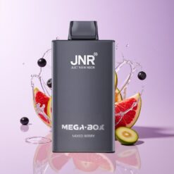 Hungary Wholesalers JNR Mega Box 25000 Puffs Egyszerhasználatos Vape Vegyesbogyó 30ml 850mAh Dual Mesh Típus-C vegyes bogyó