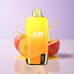 Hungary Wholesalers JNR Rainbow 10500 Puffs Mango-Őszibarack 600mAh Mesh Coil USB-C mangó őszibarack