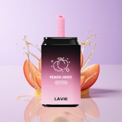 Hungary Wholesalers LAVIE Aurora 11000 Puffs Baracklé 22ML Type C Újratölthető baracklé